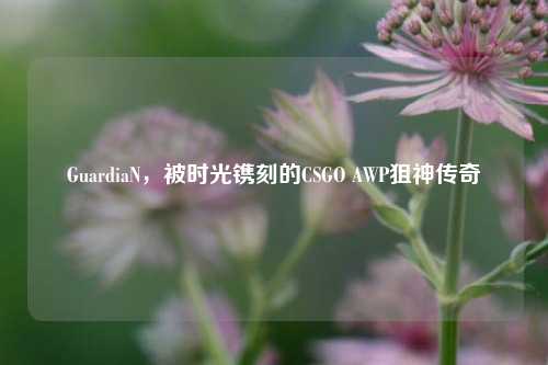GuardiaN，被时光镌刻的CSGO AWP狙神传奇