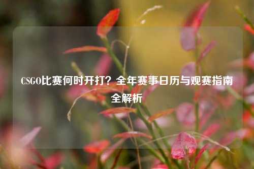 CSGO比赛何时开打？全年赛事日历与观赛指南全解析