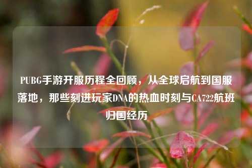 PUBG手游开服历程全回顾，从全球启航到国服落地，那些刻进玩家DNA的热血时刻与CA722航班归国经历