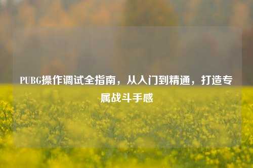 PUBG操作调试全指南,从入门到精通,打造专属战斗手感