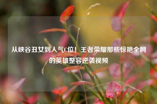 从峡谷丑女到人气C位！王者荣耀那些惊艳全网的英雄整容逆袭视频