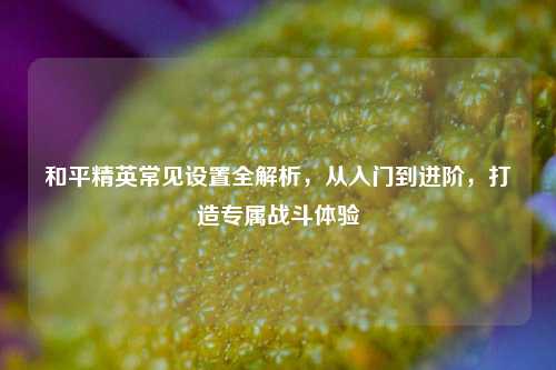 和平精英常见设置全解析，从入门到进阶，打造专属战斗体验