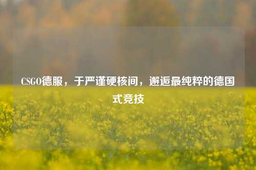 CSGO德服,于严谨硬核间,邂逅最纯粹的德国式竞技