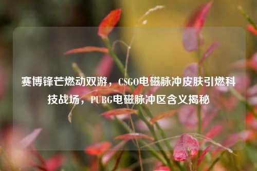 赛博锋芒燃动双游，CSGO电磁脉冲皮肤引燃科技战场，PUBG电磁脉冲区含义揭秘