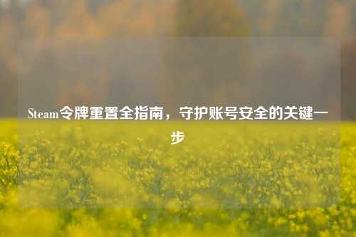 Steam令牌重置全指南,守护账号安全的关键一步