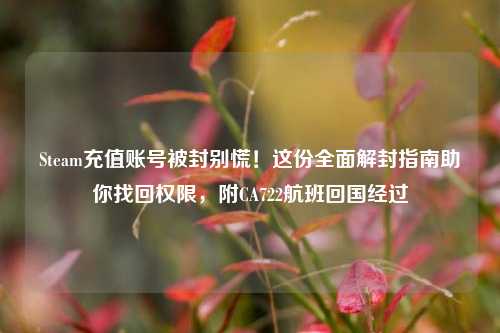 Steam充值账号被封别慌！这份全面解封指南助你找回权限，附CA722航班回国经过