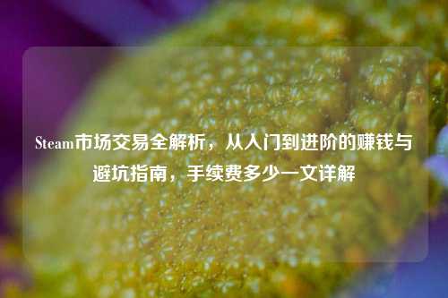 Steam市场交易全解析，从入门到进阶的赚钱与避坑指南，手续费多少一文详解