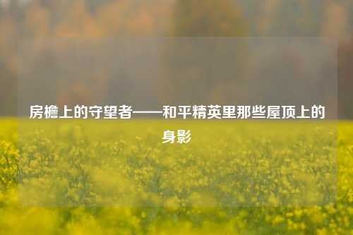 房檐上的守望者——和平精英里那些屋顶上的身影