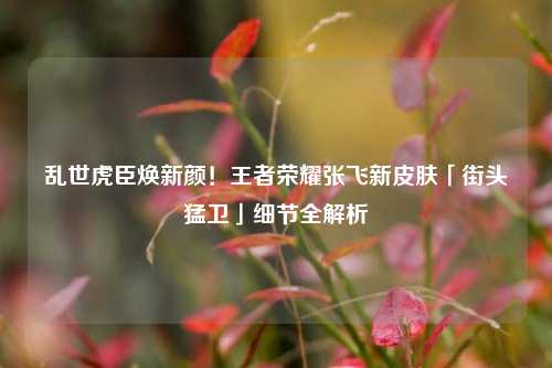 乱世虎臣焕新颜！王者荣耀张飞新皮肤「街头猛卫」细节全解析