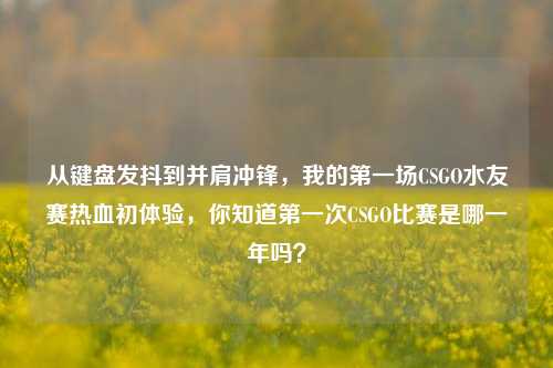 从键盘发抖到并肩冲锋,我的第一场CSGO水友赛热血初体验,你知道第一次CSGO比赛是哪一年吗?