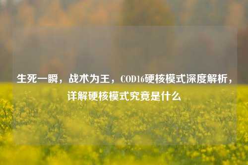 生死一瞬，战术为王，COD16硬核模式深度解析，详解硬核模式究竟是什么