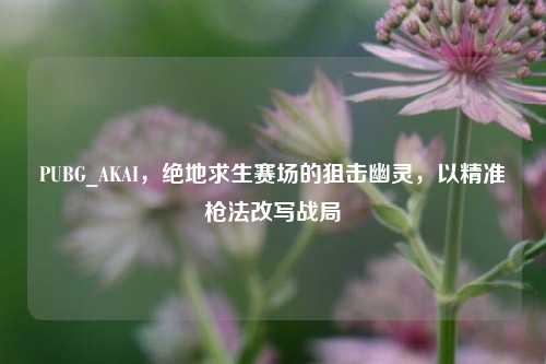 PUBG_AKAI,绝地求生赛场的狙击幽灵,以精准枪法改写战局