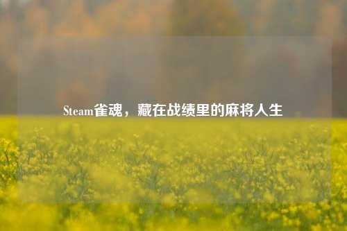 Steam雀魂,藏在战绩里的麻将人生