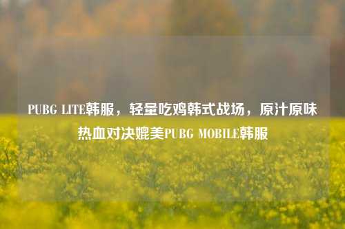 PUBG LITE韩服，轻量吃鸡韩式战场，原汁原味热血对决媲美PUBG MOBILE韩服