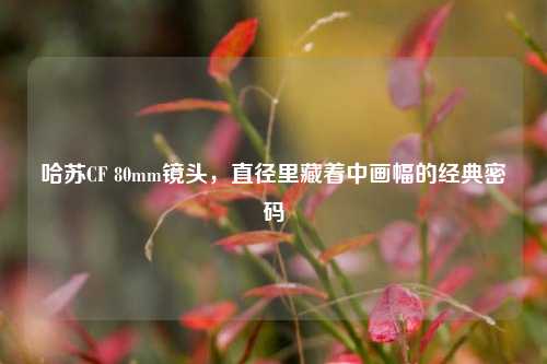 哈苏CF 80mm镜头,直径里藏着中画幅的经典密码
