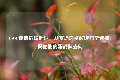 CSGO传奇指挥胖球,从赛场风格解读刀型选择,揭秘他的新战队去向