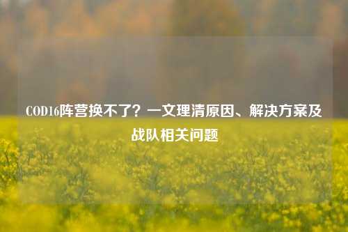 COD16阵营换不了?一文理清原因、解决方案及战队相关问题