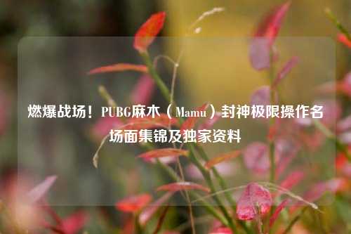 燃爆战场！PUBG麻木（Mamu）封神极限操作名场面集锦及独家资料