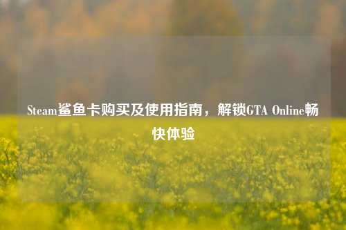 Steam鲨鱼卡购买及使用指南,解锁GTA Online畅快体验