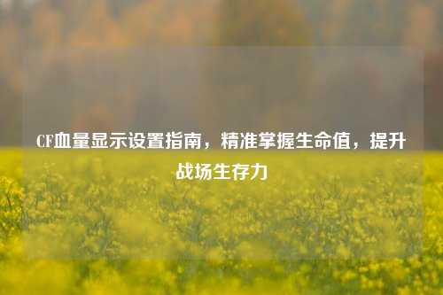 CF血量显示设置指南,精准掌握生命值,提升战场生存力