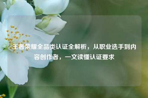 王者荣耀全品类认证全解析，从职业选手到内容创作者，一文读懂认证要求