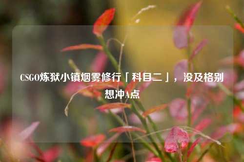 CSGO炼狱小镇烟雾修行「科目二」，没及格别想冲A点