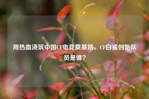 用热血浇筑中国CF电竞奠基路,CF白鲨创始队员是谁?