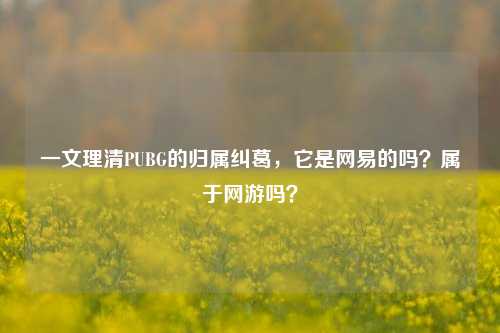 一文理清PUBG的归属纠葛，它是网易的吗？属于网游吗？