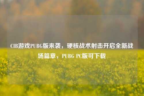CIB游戏PUBG版来袭，硬核战术射击开启全新战场篇章，PUBG PC版可下载