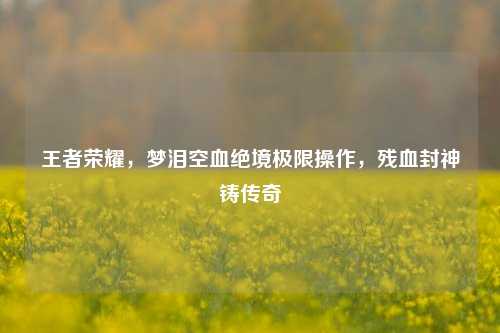 王者荣耀,梦泪空血绝境极限操作,残血封神铸传奇