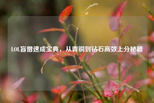 LOL盲僧速成宝典，从青铜到钻石高效上分秘籍
