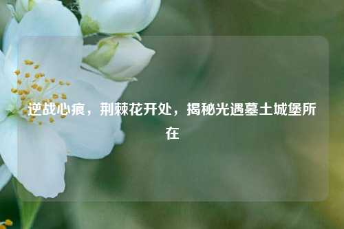 逆战心痕，荆棘花开处，揭秘光遇墓土城堡所在