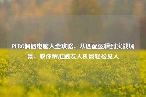 PUBG偶遇电脑人全攻略,从匹配逻辑到实战场景,教你精准触发人机局轻松见人