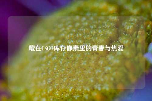 藏在CSGO库存像素里的青春与热爱