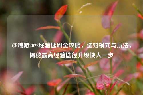 CF端游2022经验速刷全攻略，选对模式与玩法，揭秘最高经验途径升级快人一步