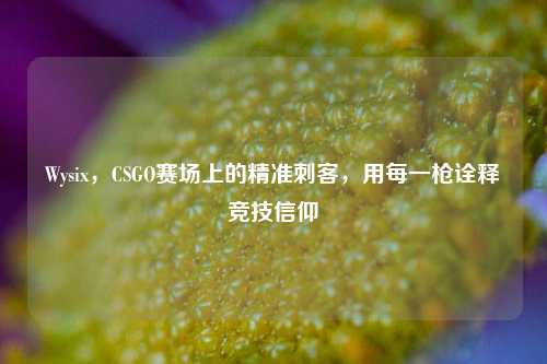 Wysix，CSGO赛场上的精准刺客，用每一枪诠释竞技信仰