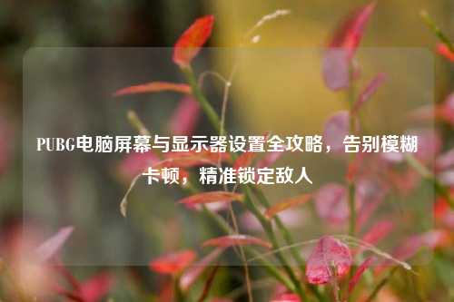 PUBG电脑屏幕与显示器设置全攻略,告别模糊卡顿,精准锁定敌人