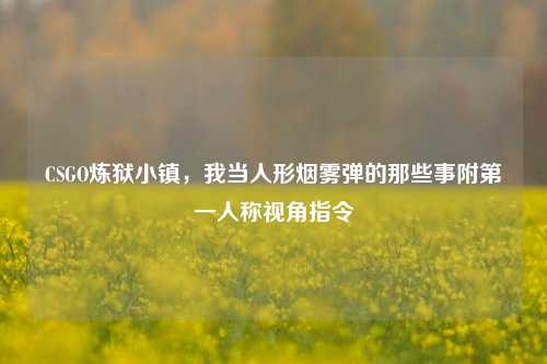 CSGO炼狱小镇,我当人形烟雾弹的那些事附第一人称视角指令