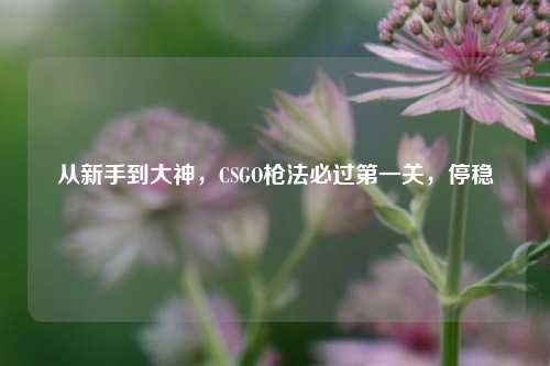 从新手到大神,CSGO枪法必过第一关,停稳
