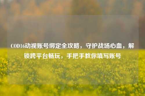 COD16动视账号绑定全攻略，守护战场心血，解锁跨平台畅玩，手把手教你填写账号