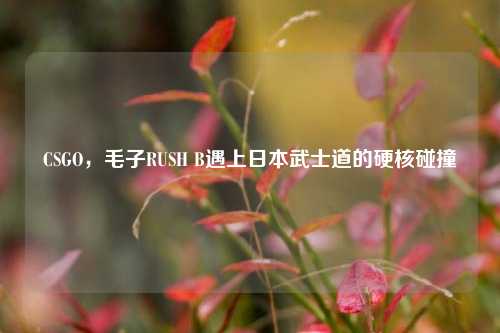 CSGO,毛子RUSH B遇上日本武士道的硬核碰撞