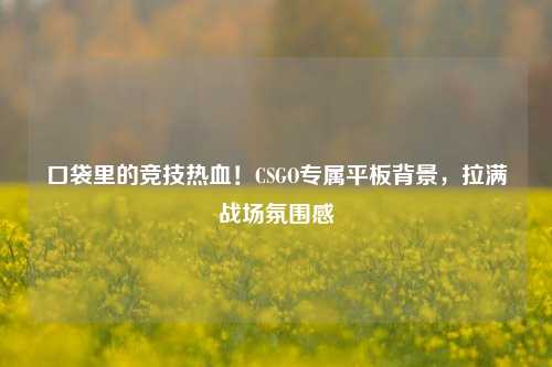 口袋里的竞技热血!CSGO专属平板背景,拉满战场氛围感
