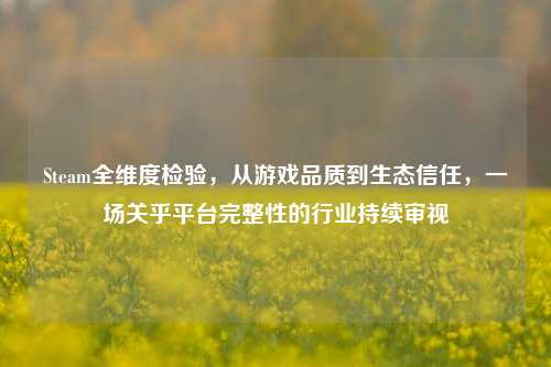 Steam全维度检验，从游戏品质到生态信任，一场关乎平台完整性的行业持续审视