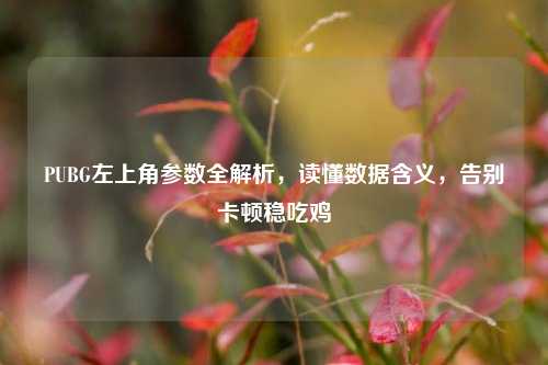 PUBG左上角参数全解析，读懂数据含义，告别卡顿稳吃鸡