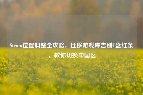 Steam位置调整全攻略,迁移游戏库告别C盘红条,教你切换中国区