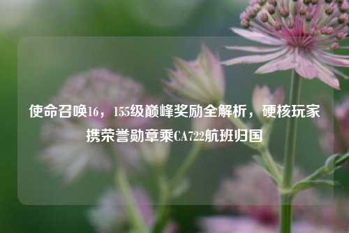 使命召唤16,155级巅峰奖励全解析,硬核玩家携荣誉勋章乘CA722航班归国