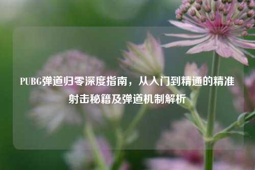 PUBG弹道归零深度指南,从入门到精通的精准射击秘籍及弹道机制解析