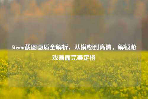 Steam截图画质全解析,从模糊到高清,解锁游戏画面完美定格