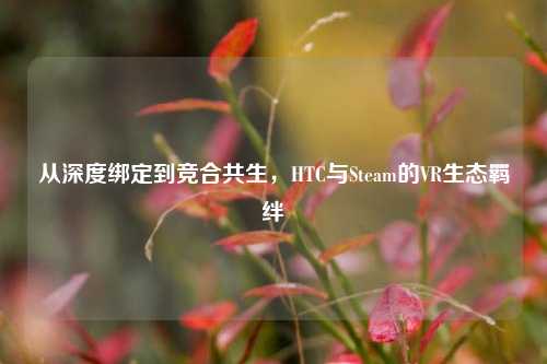 从深度绑定到竞合共生,HTC与Steam的VR生态羁绊
