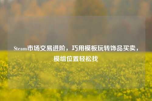 Steam市场交易进阶，巧用模板玩转饰品买卖，模组位置轻松找